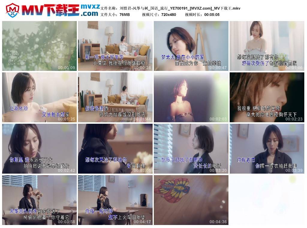 刘惜君-风筝与树_国语_流行_YE700191